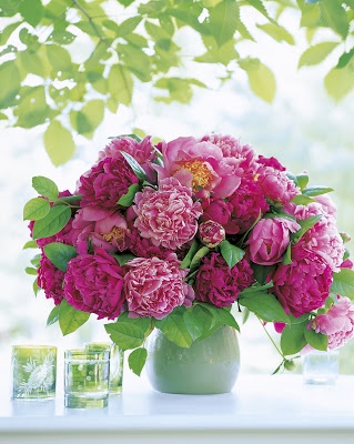 pink peonies