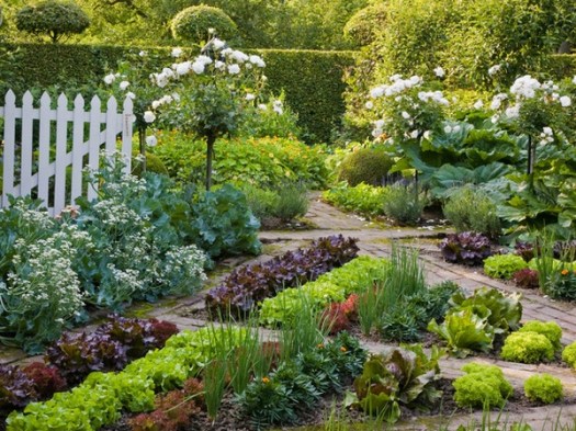 potager kitchen garden
