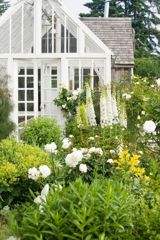 white garden and greenhouse